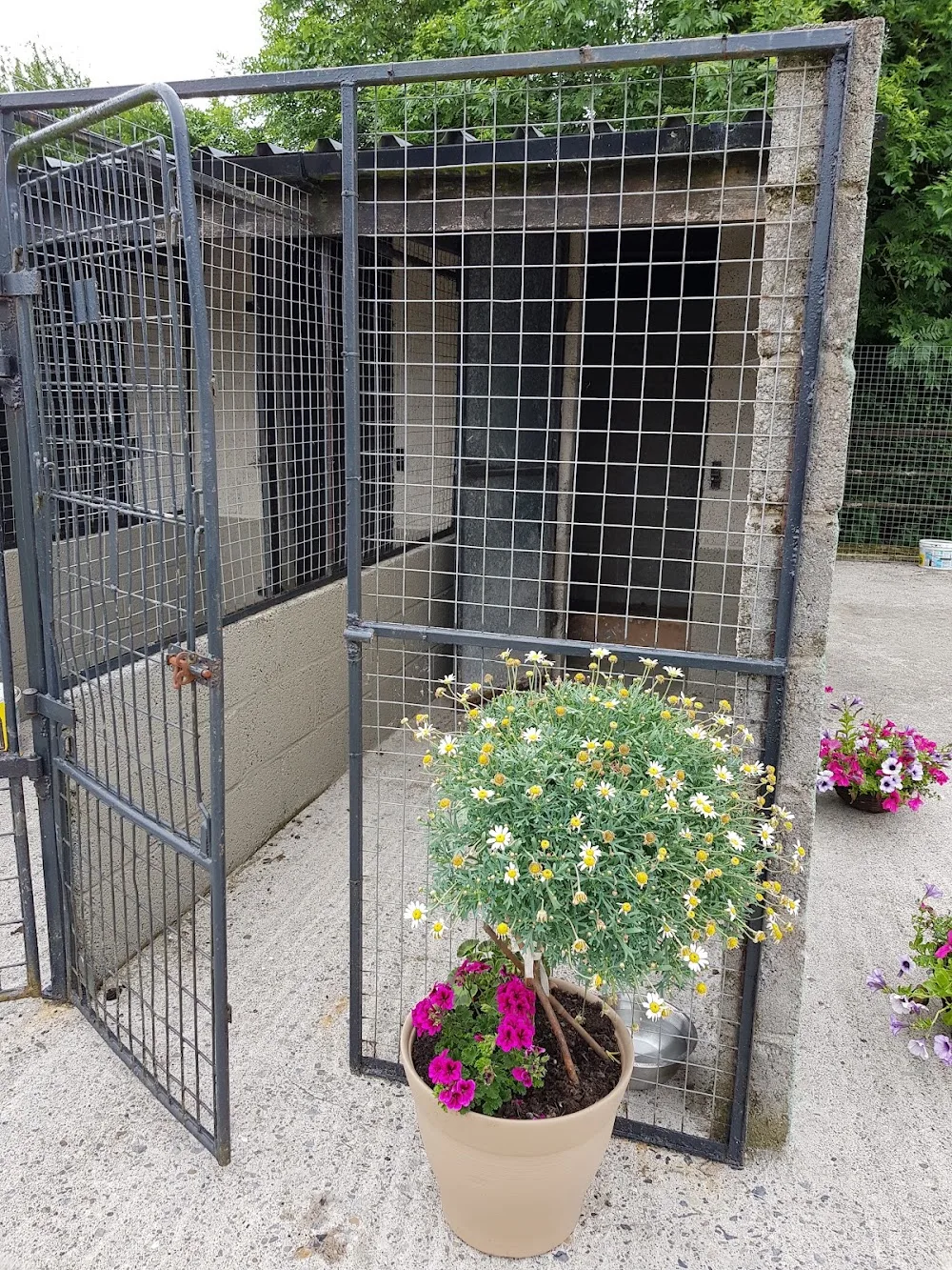 Knockphalegh Boarding Kennels - Tipperary pet otel görseli 2