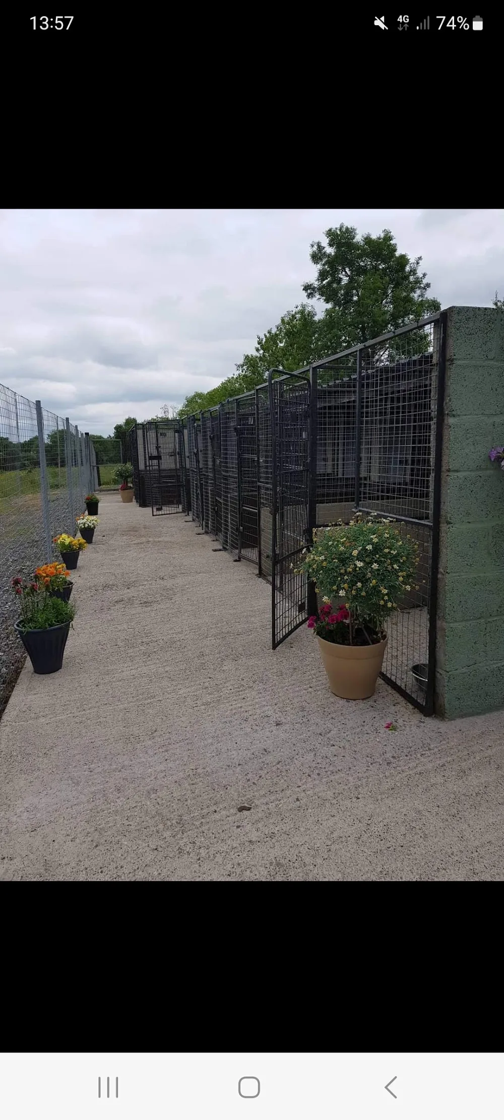 Knockphalegh Boarding Kennels - Tipperary pet otel görseli 3