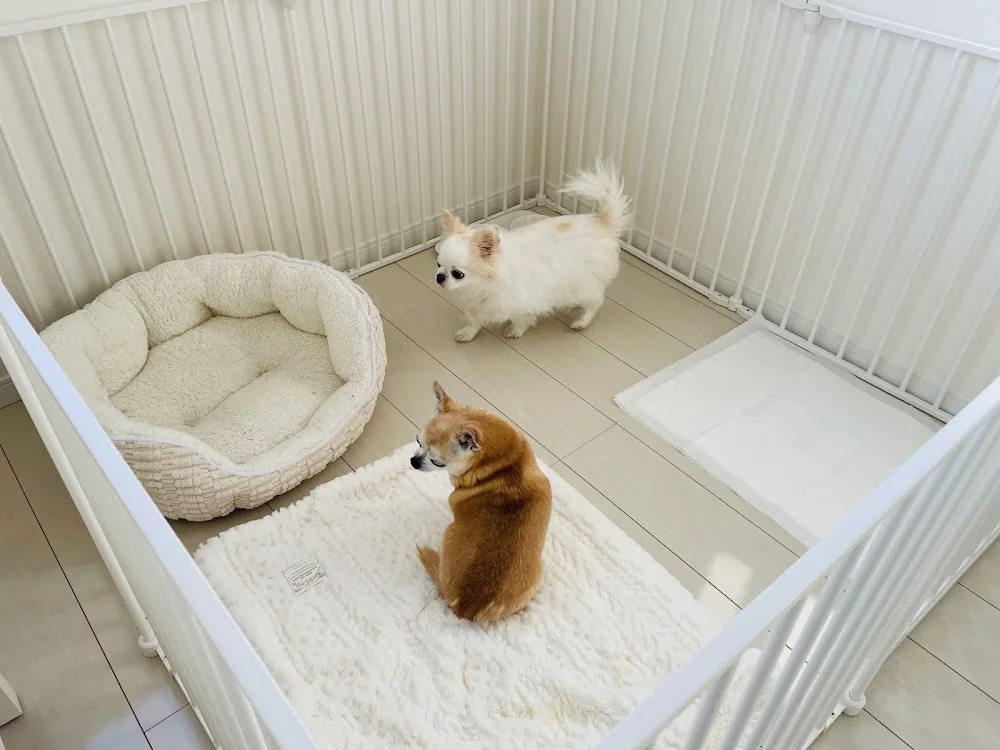 Paw's Home（ポーズホーム） - Tochigi pet otel görseli 3