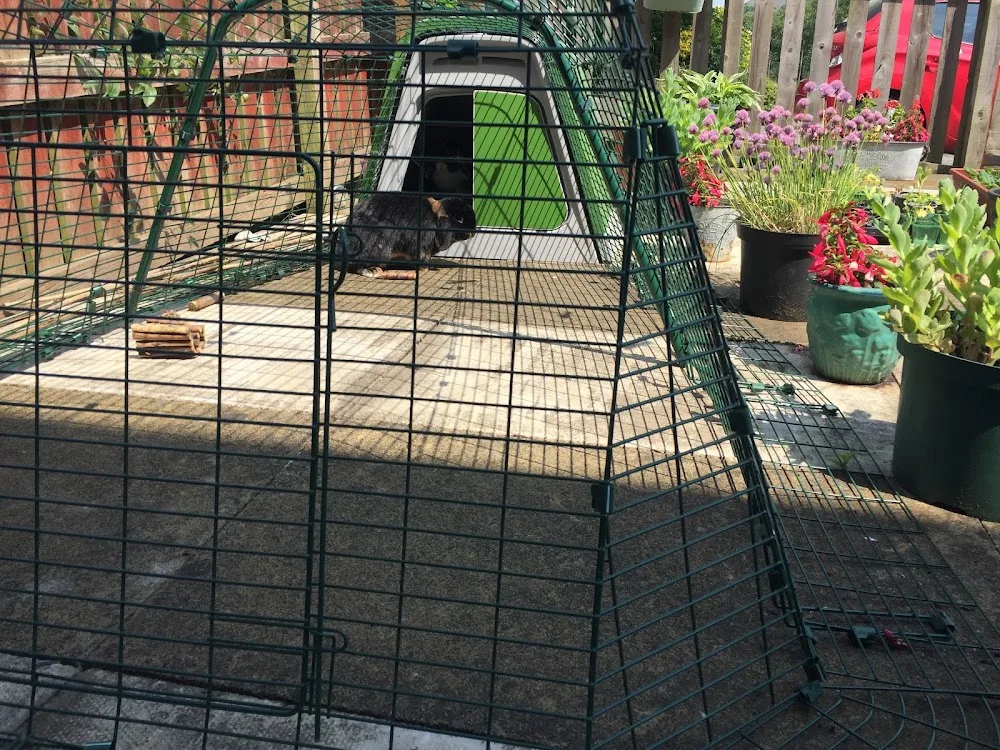 Cinnabun Rabbit Boarding - Todmorden pet otel