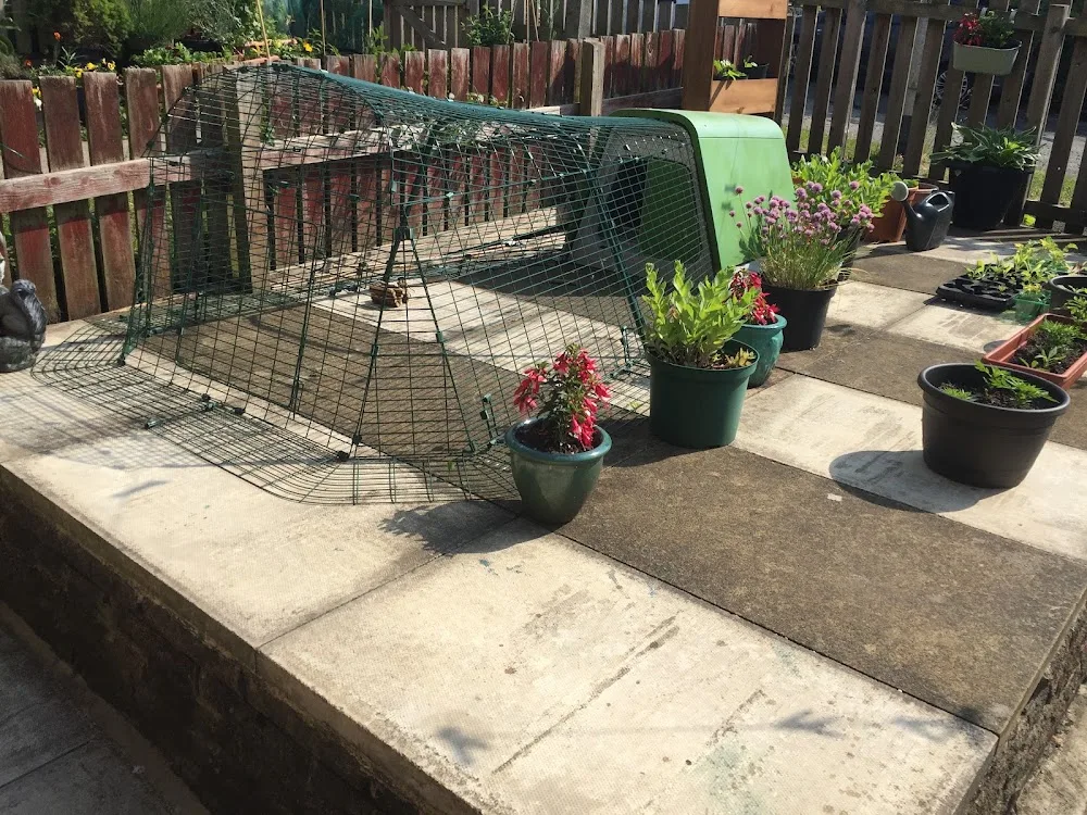 Cinnabun Rabbit Boarding - Todmorden pet otel görseli 3