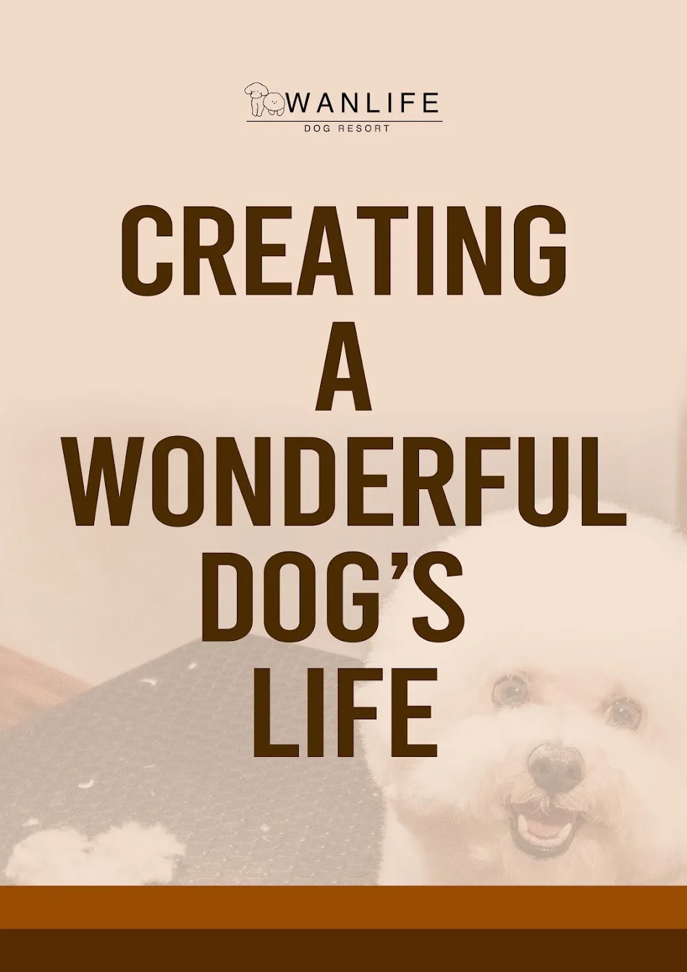 愛犬の為の楽園 Dog Resort WANLIFE (ワンライフ高田馬場) - Tokyo pet otel