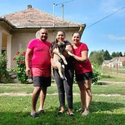 Wild Souls Kangal Kennel - Tolna County pet otel görseli 5