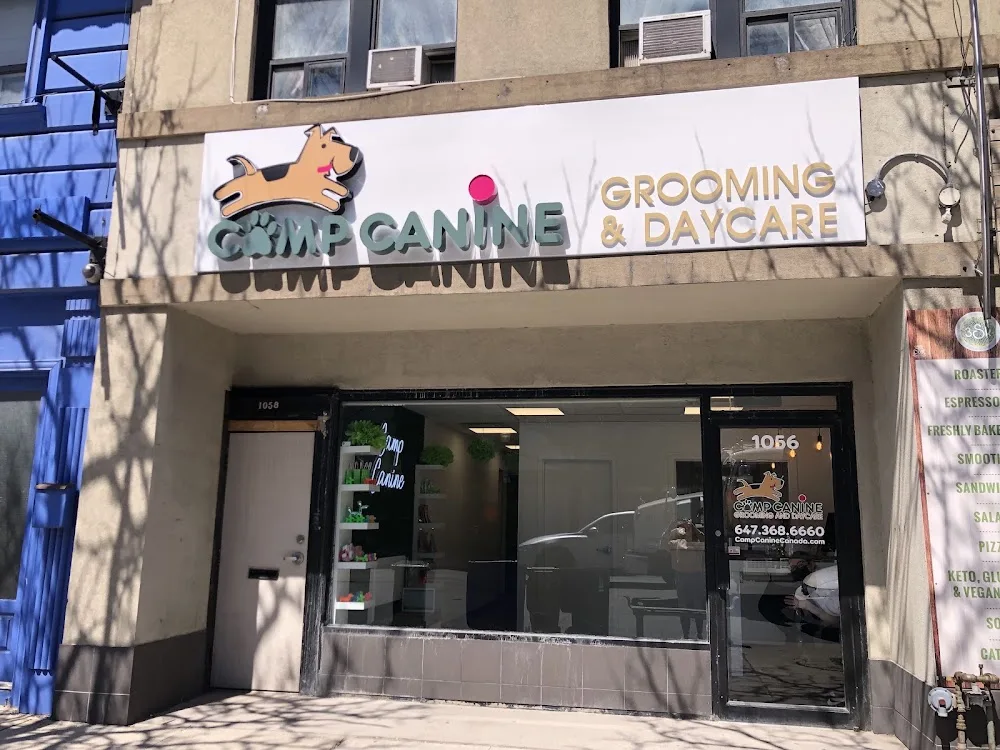 Camp Canine Forest Hill - Toronto pet otel