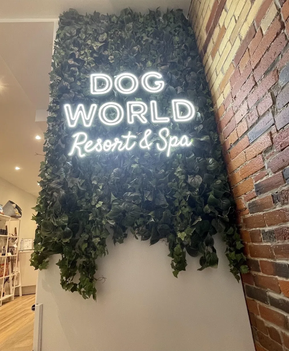 Dog World Resort & Spa - Toronto pet otel