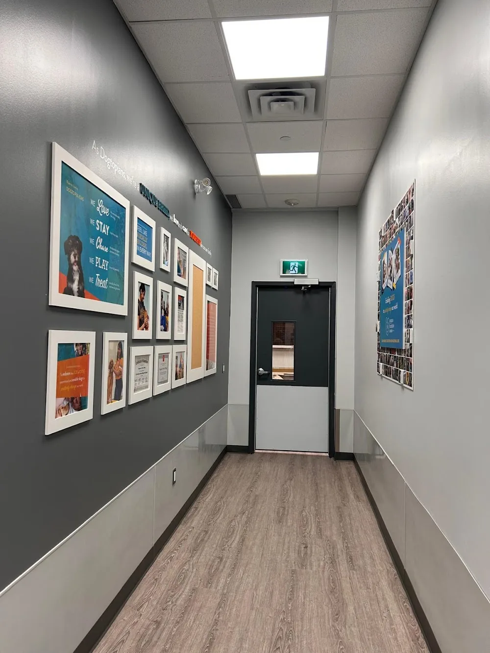 Dogtopia of Liberty Village - Toronto pet otel