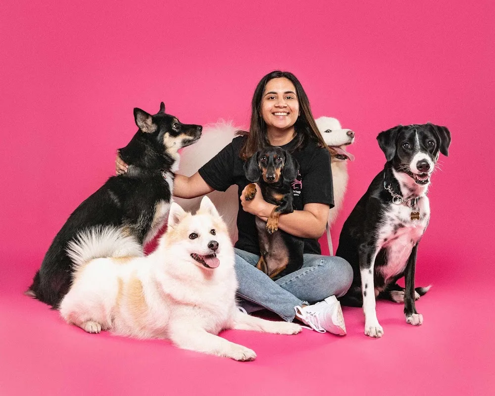 SuperDoggos Toronto - Toronto pet otel