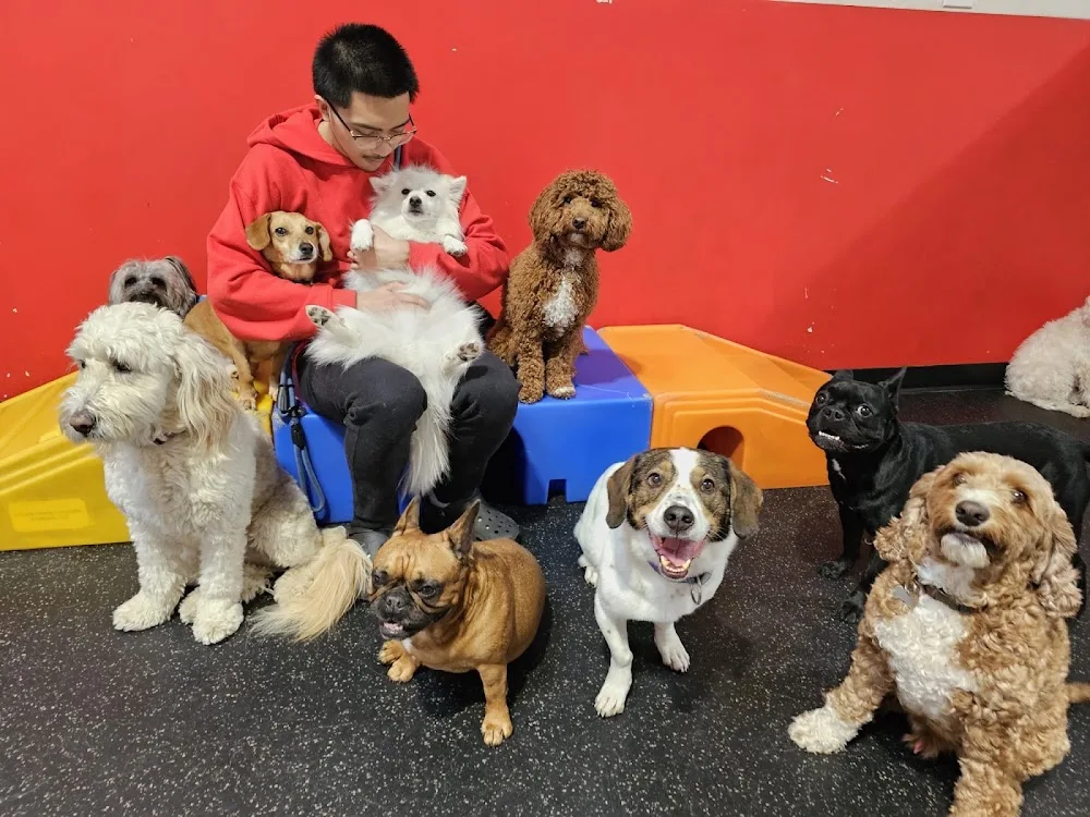 The Pooches Playhouse Inc. - Toronto pet otel