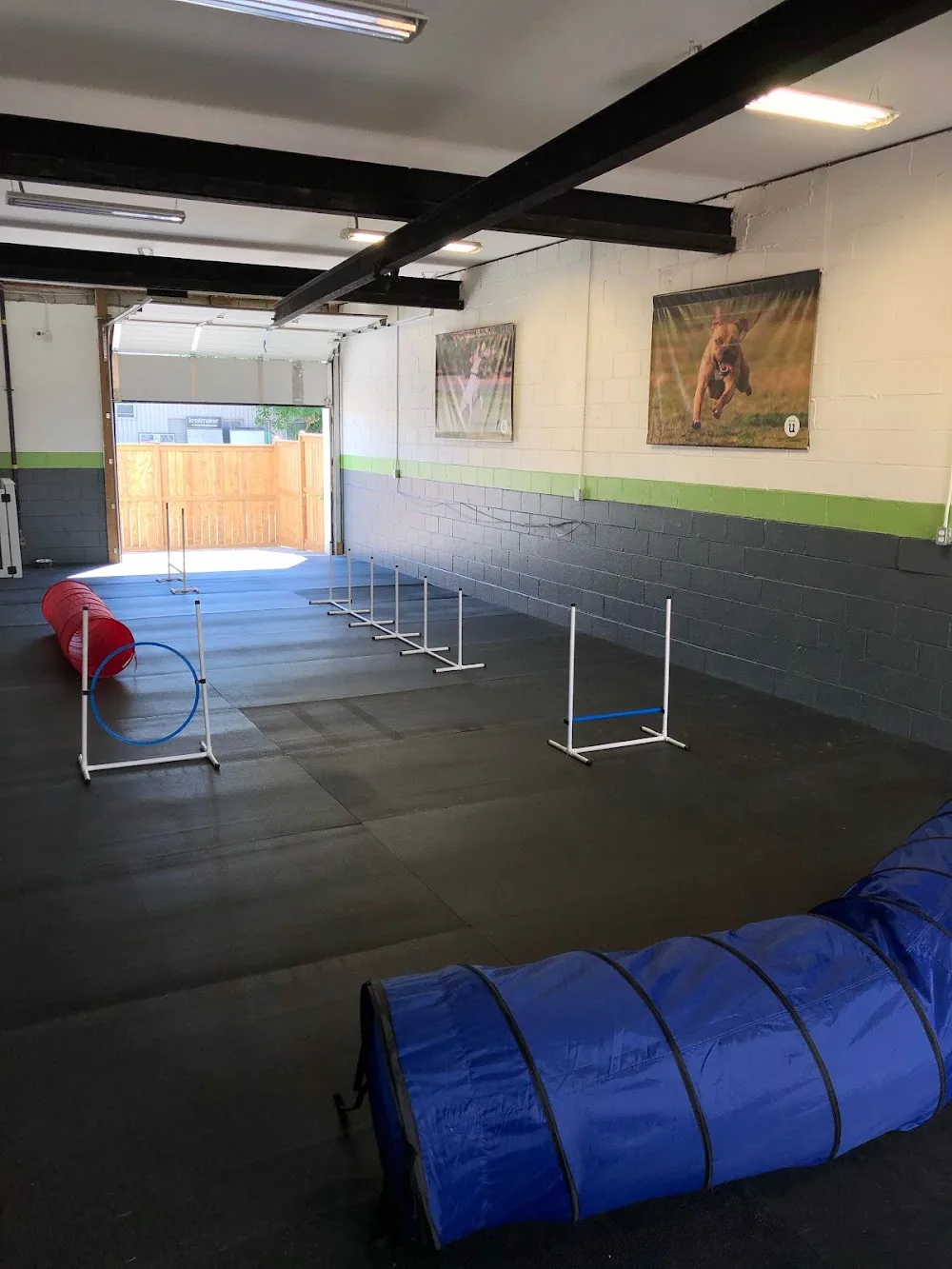 Uberdog Athletic Club - Toronto pet otel