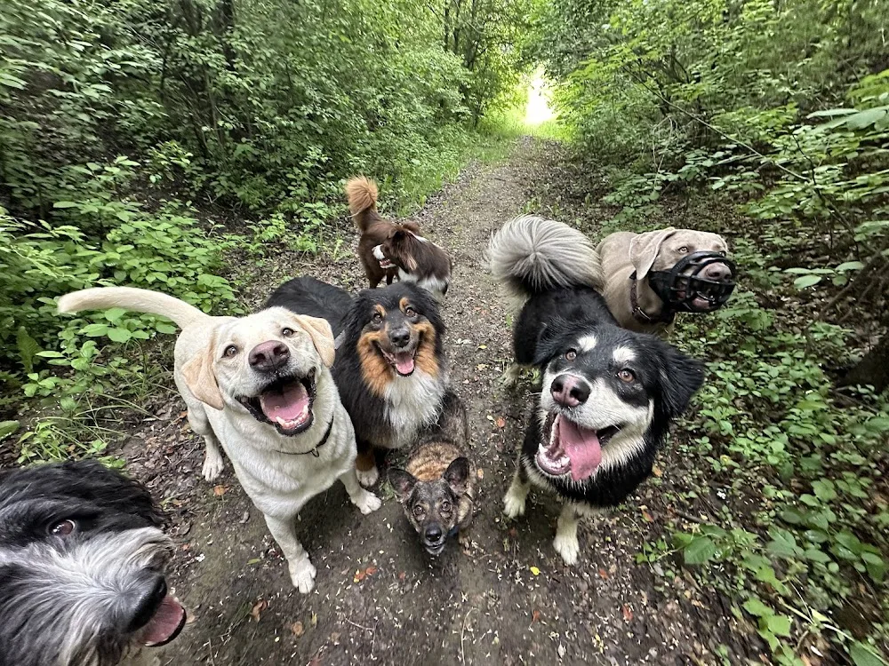 Woof! Dog Shop & Daycare - Toronto pet otel