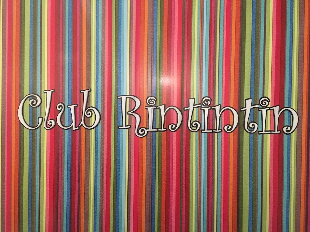 Club Rintintin Köpek Oteli - Eğitim Merkezi - İstanbul pet otel görseli 2