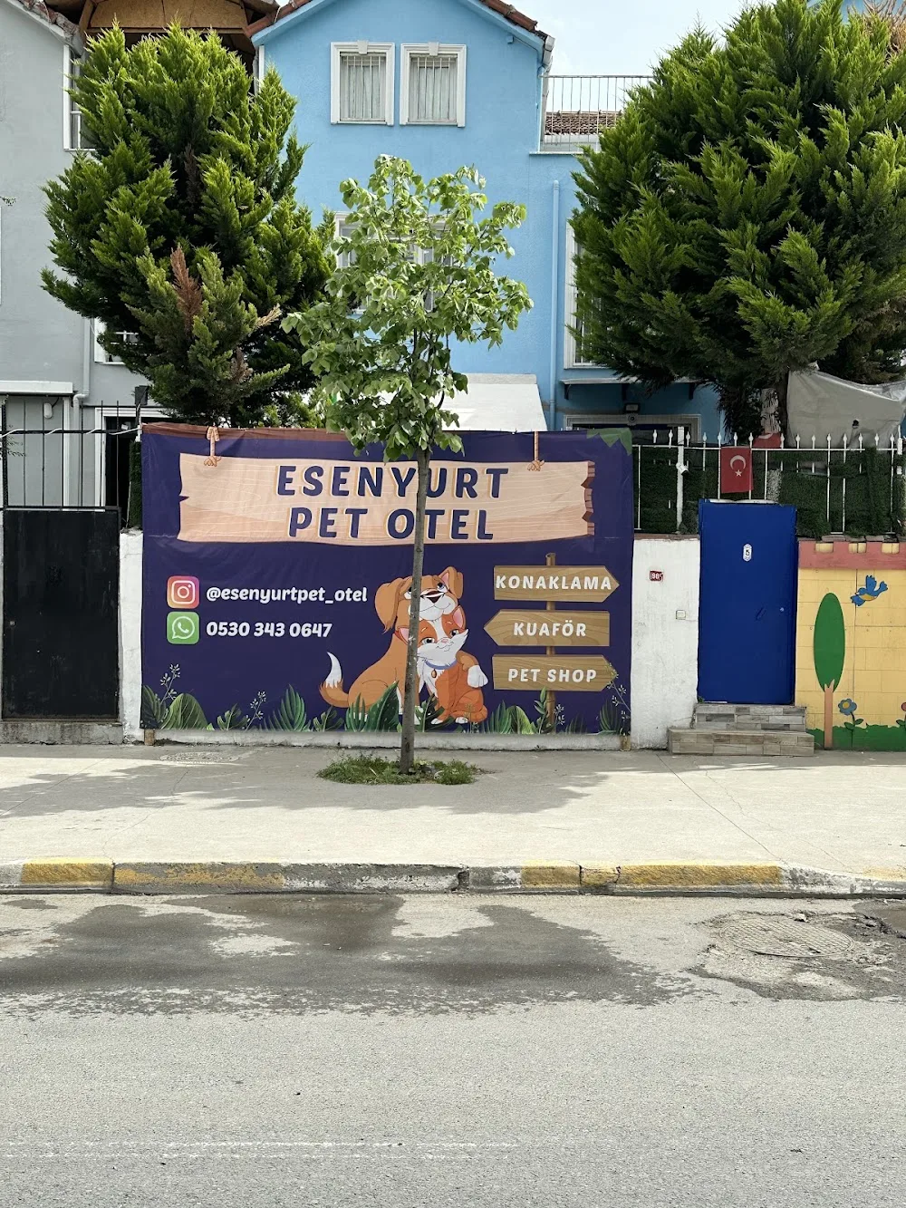 Esenyurt Pet Otel - İstanbul pet otel görseli 3