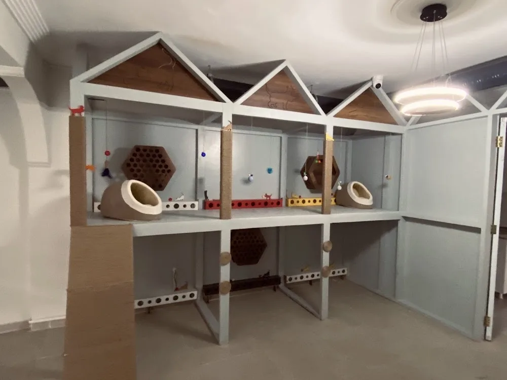 Nar Cat Otel - İstanbul pet otel görseli 2