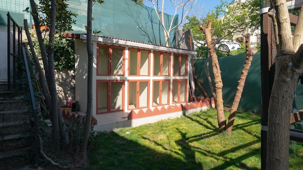 Nar Cat Otel - İstanbul pet otel görseli 3