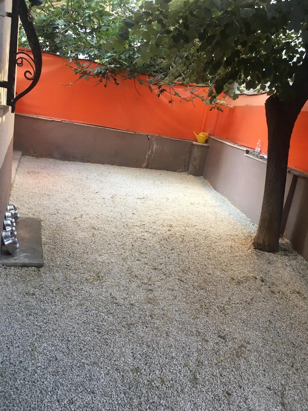 Pozito Pet Otel - İstanbul pet otel görseli 3