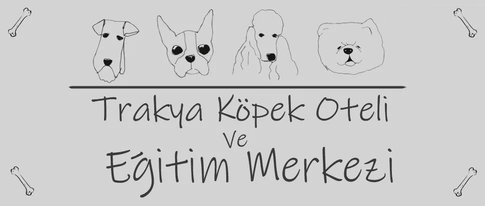 Trakya Köpek Oteli - Tekirdağ pet otel görseli 2