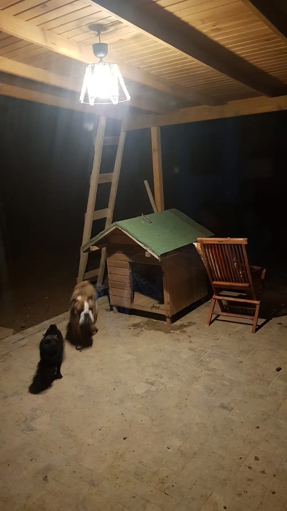 Trakya Pet oteli - Tekirdağ pet otel görseli 2