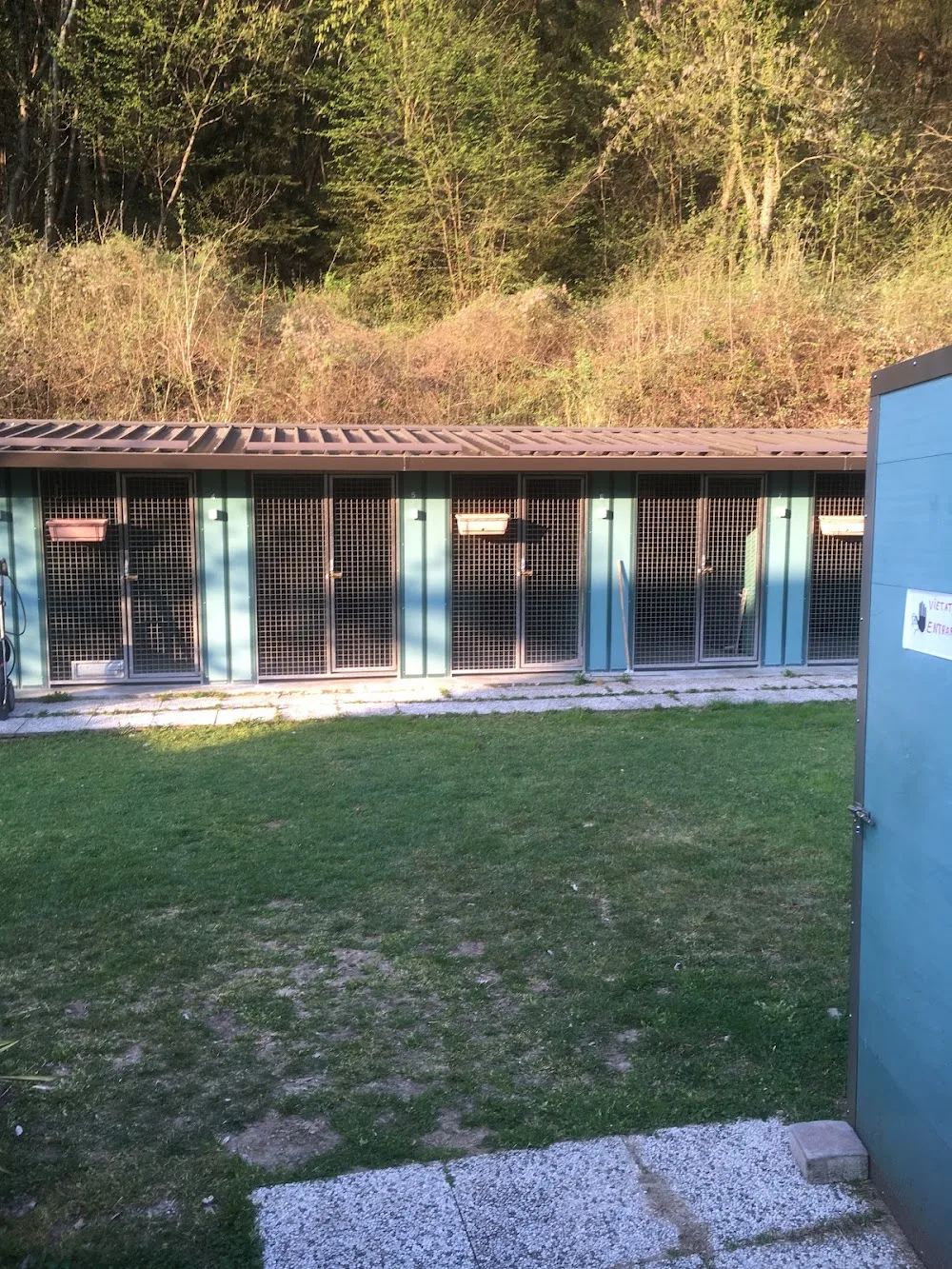 Paradise Pensione cani - Trentino pet otel görseli 3