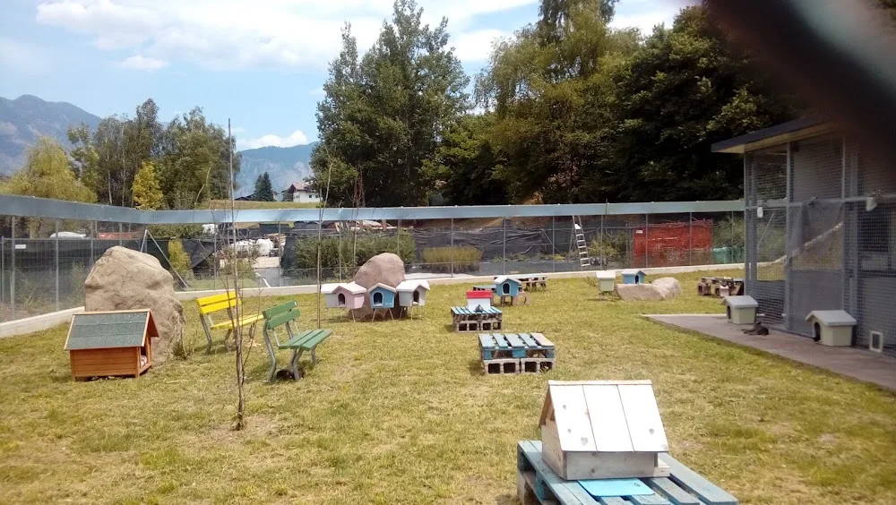 Gattile di Valle L'Erica - Trentino-South Tyrol pet otel görseli 4