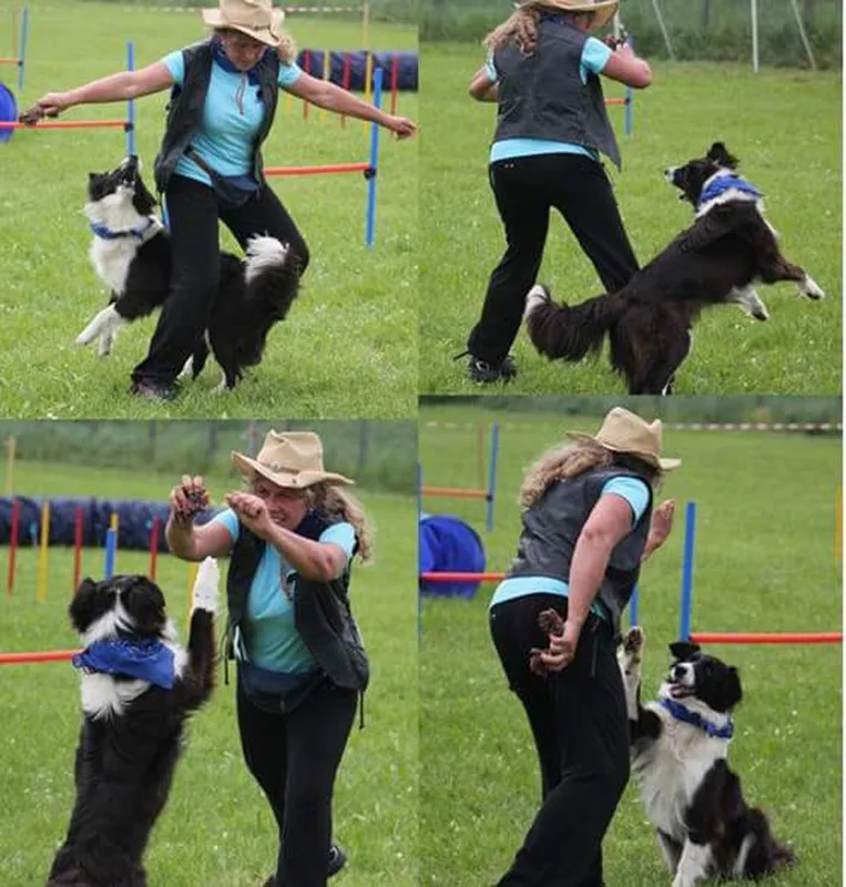 Amici del Cane Ranch - Treviso pet otel görseli 3