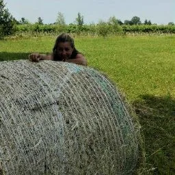 Amici del Cane Ranch - Treviso pet otel görseli 5