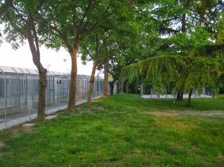 Bauhaus albergo per cani - Treviso pet otel