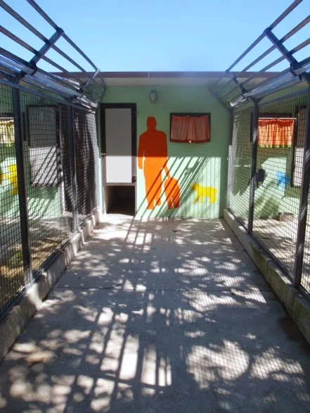 Bauhaus albergo per cani - Treviso pet otel görseli 3