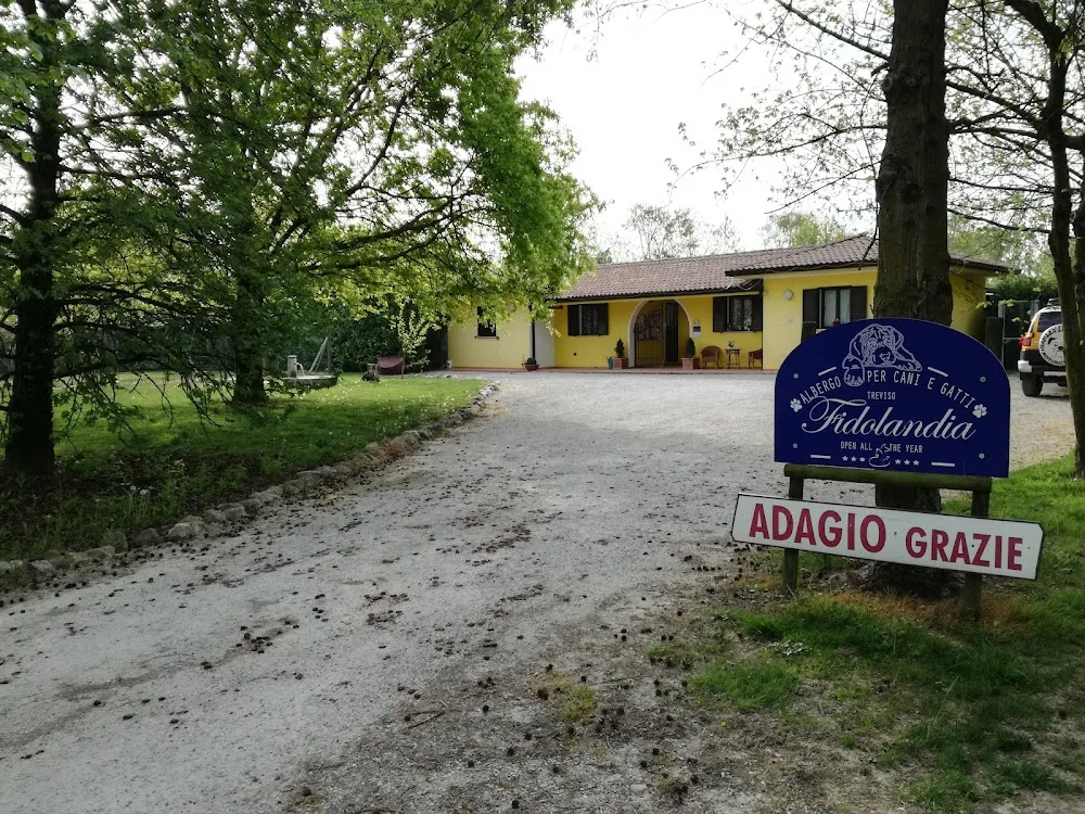 Fidolandia - Treviso pet otel
