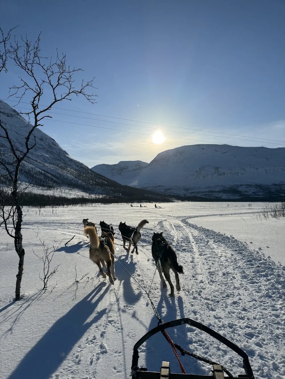 Harkin Husky Farm - Troms pet otel