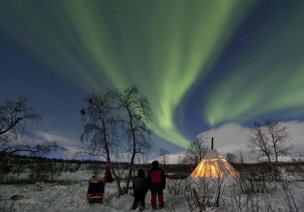 Huskyfarm Innset AS - Troms pet otel