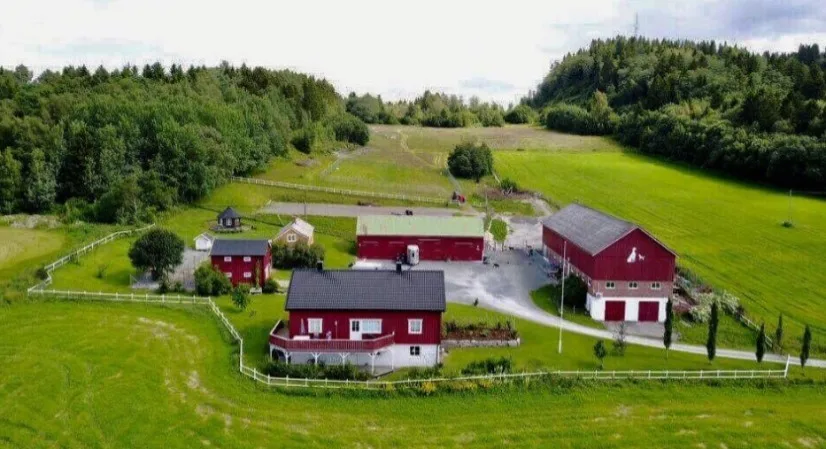 Innherred Hundepensjonat - Trøndelag pet otel