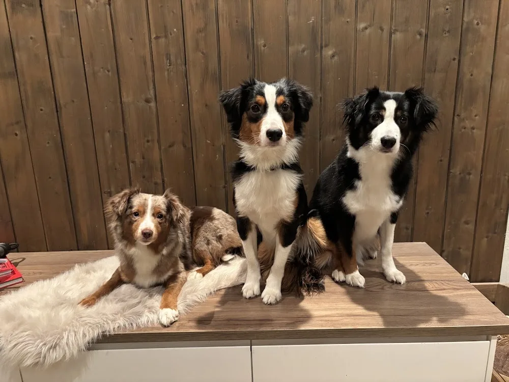 kennel Lånabakken - Trøndelag pet otel görseli 2