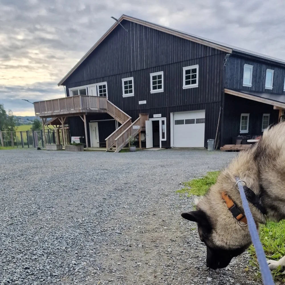 Reidars Fiskeutstyr og Hundepensjonat - Trøndelag pet otel görseli 3