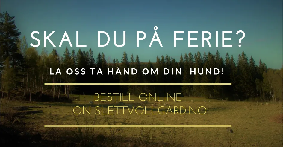 Slettvoll Gård Hundepensjonat - Trøndelag pet otel görseli 2