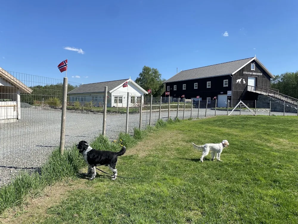 Stiklestad Hundesenter - Trøndelag pet otel
