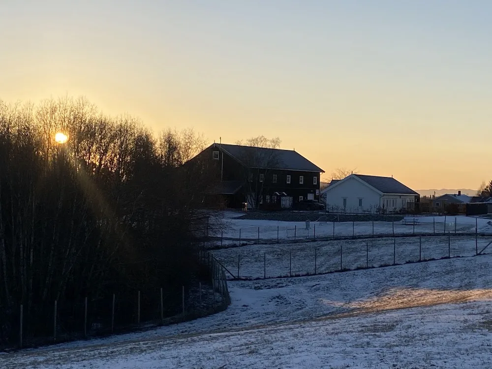 Stiklestad Hundesenter - Trøndelag pet otel görseli 3