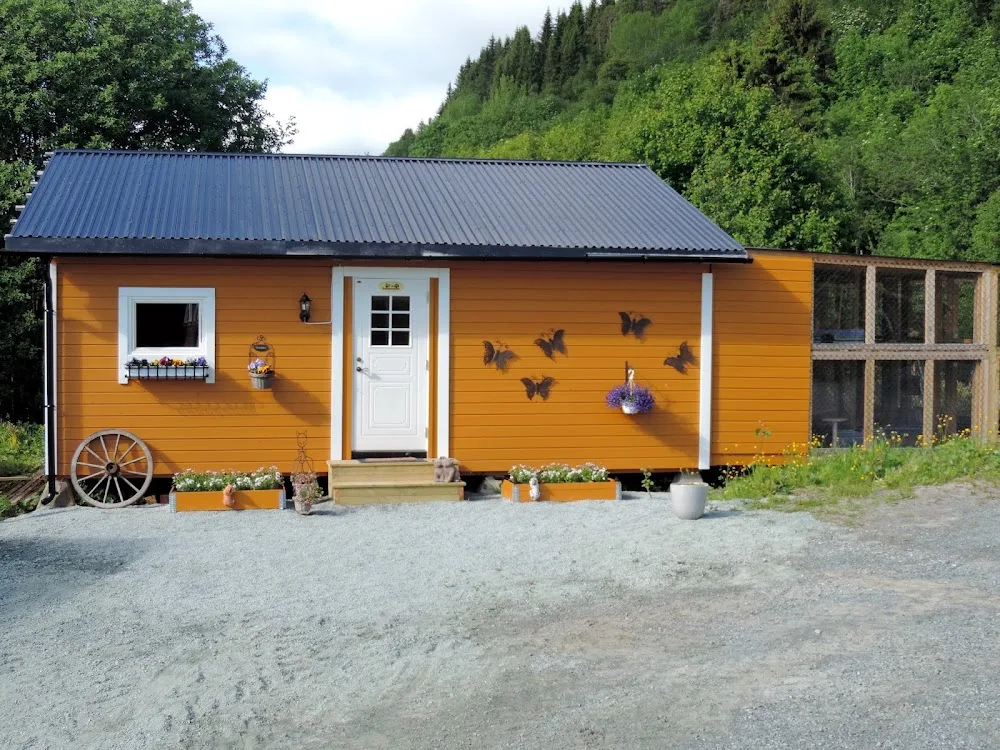 Tones kattepensjonat - Trøndelag pet otel görseli 3