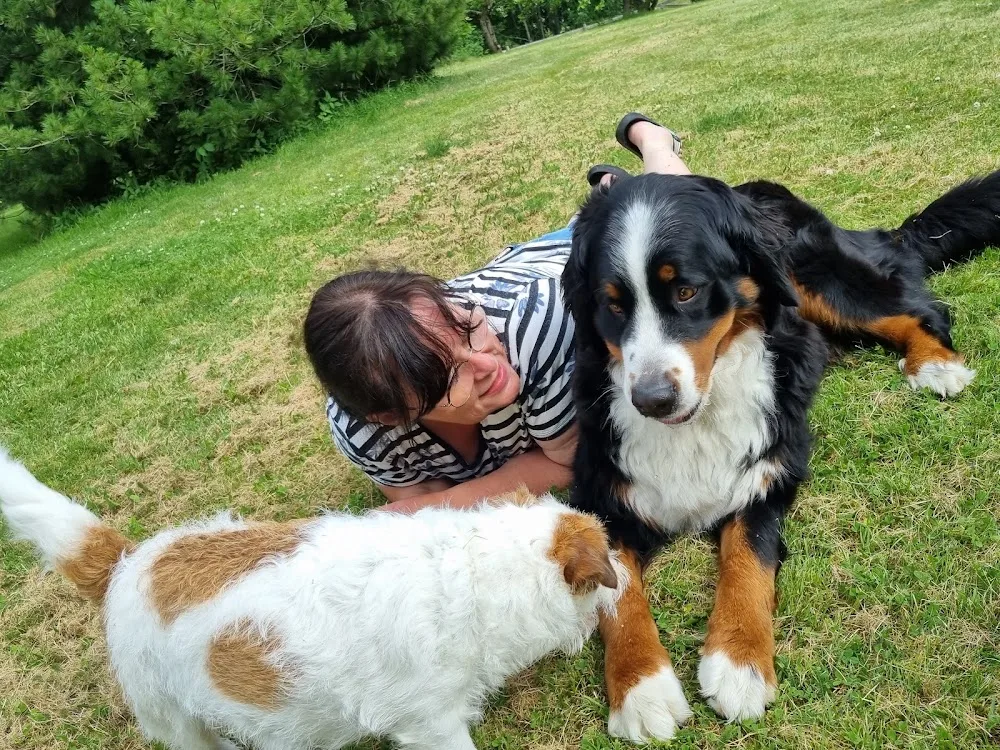Trøndelag Hundesenter - Trøndelag pet otel görseli 3