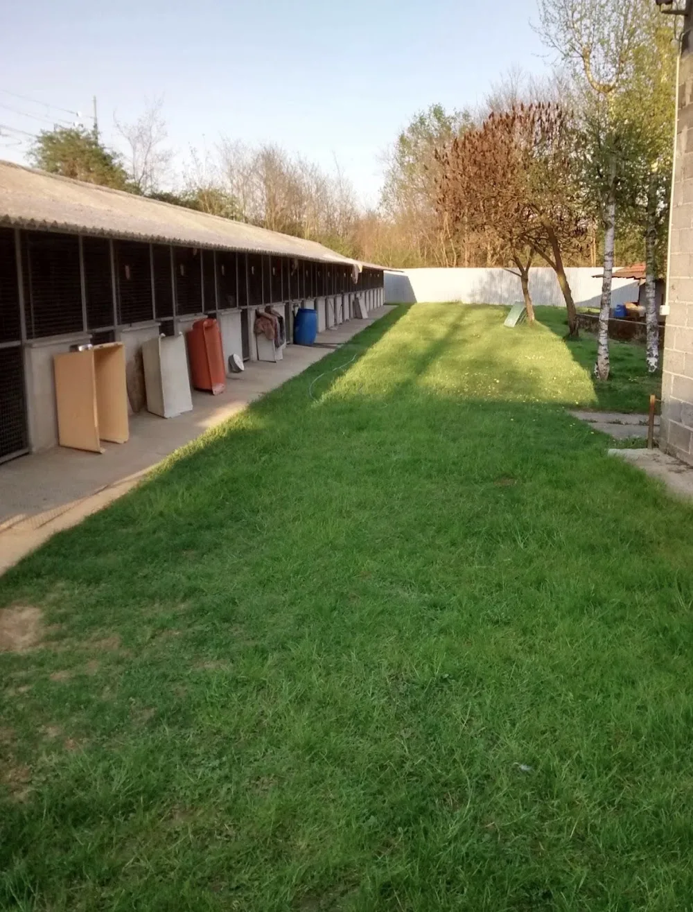 LA SAVANA: pensione e toelettatura cani e gatti - Turin pet otel görseli 2