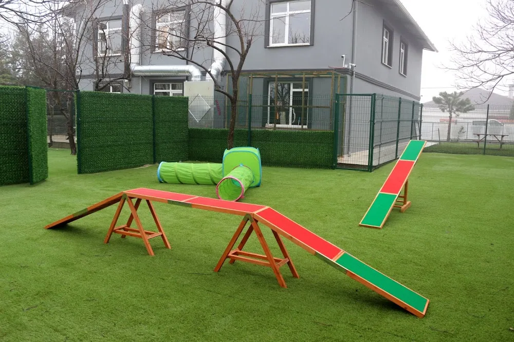 Luxe Pet Hotel - Turkey pet otel görseli 3