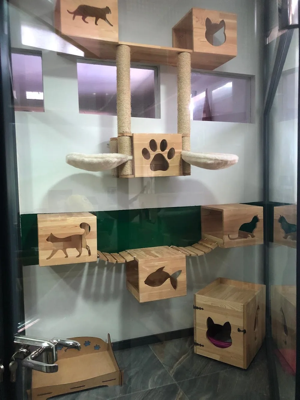 PatiLee Dog SchooL & Premium Pet Resort - Turkey pet otel görseli 4
