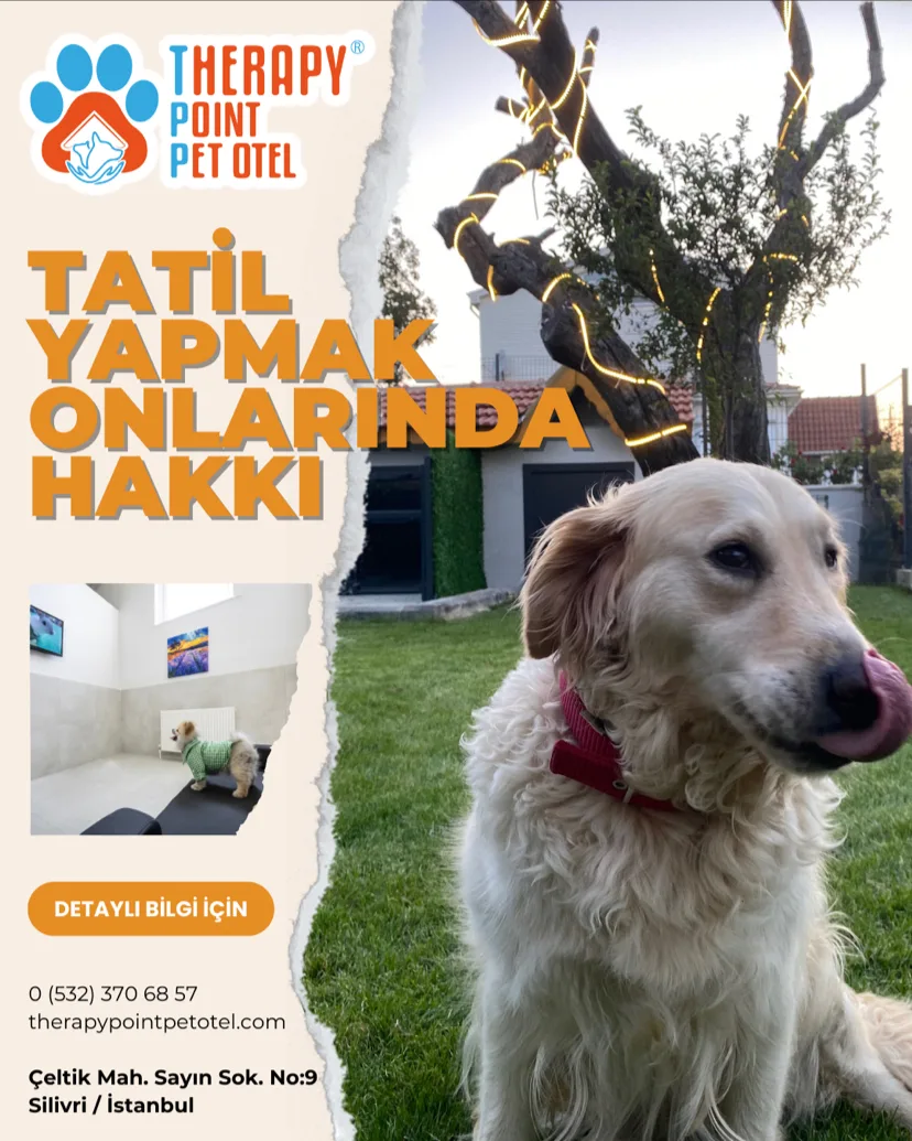 Therapy Point Pet Otel - Turkey pet otel görseli 2