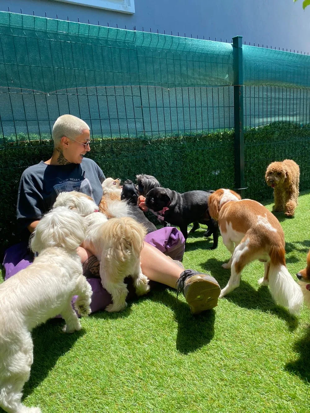 Jordan Pack Köpek Oteli & Kreşi - Türkiye pet otel görseli 2