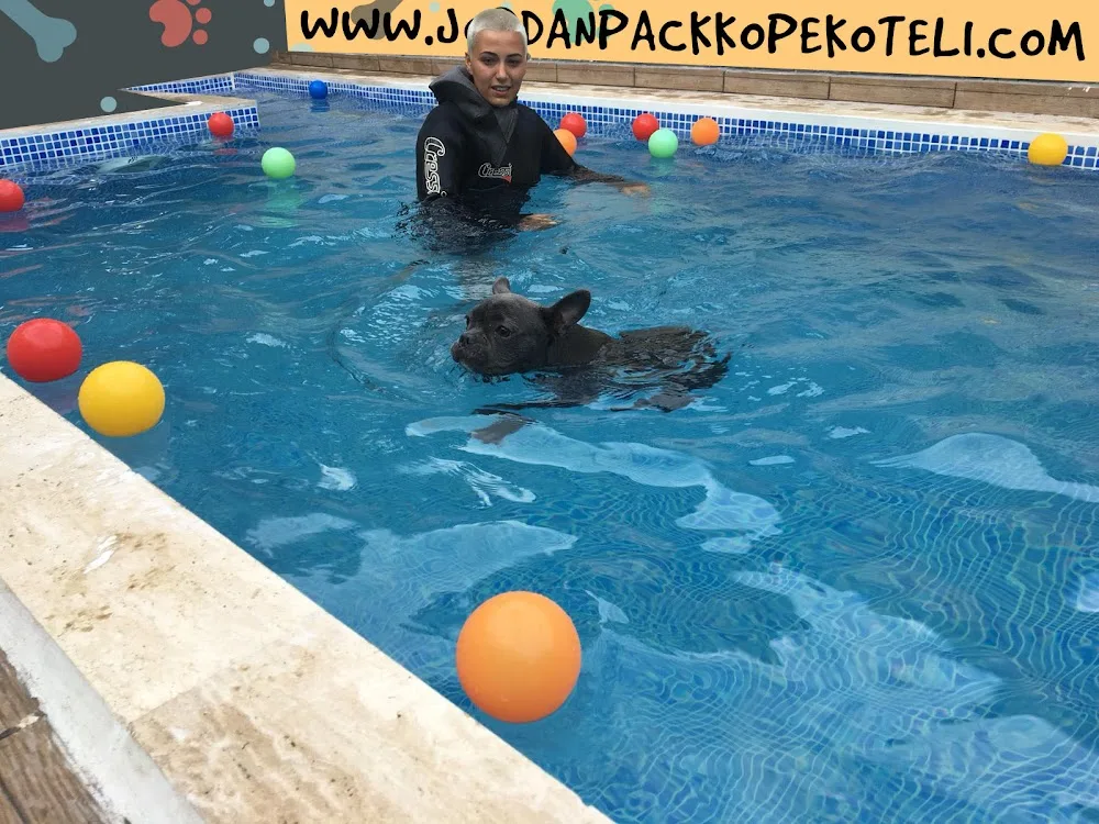 Jordan Pack Köpek Oteli & Kreşi - Türkiye pet otel görseli 3