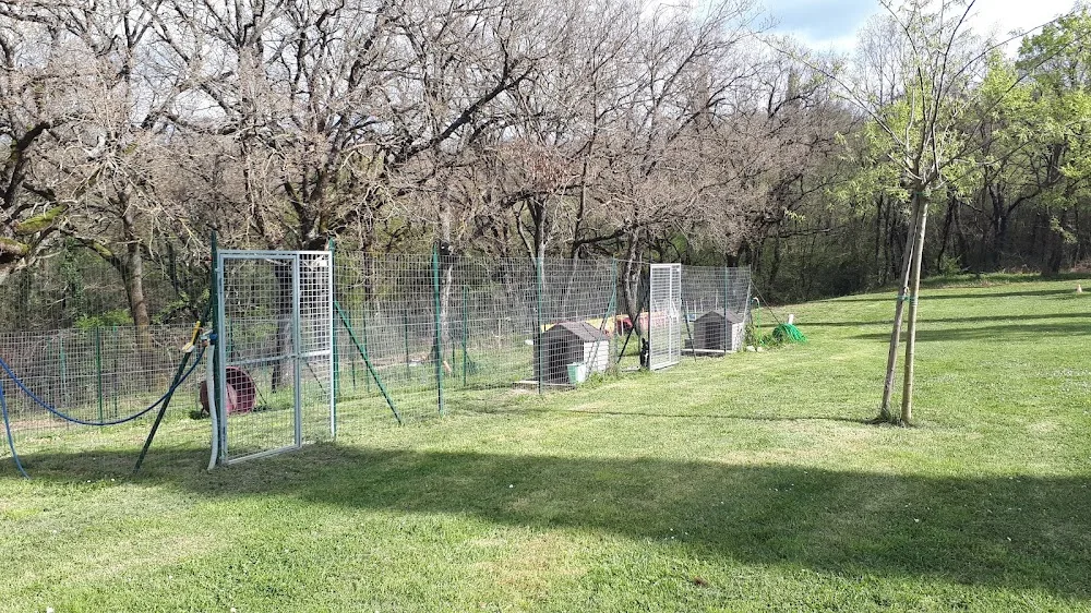 Cani fumanti - Tuscany pet otel görseli 3