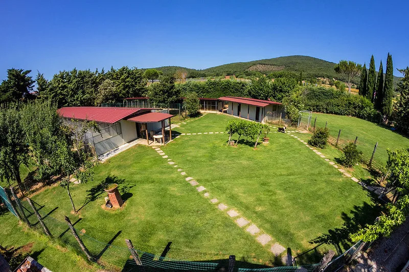 Centro Cinofilo Le Capannelle di Montorsaio - Tuscany pet otel