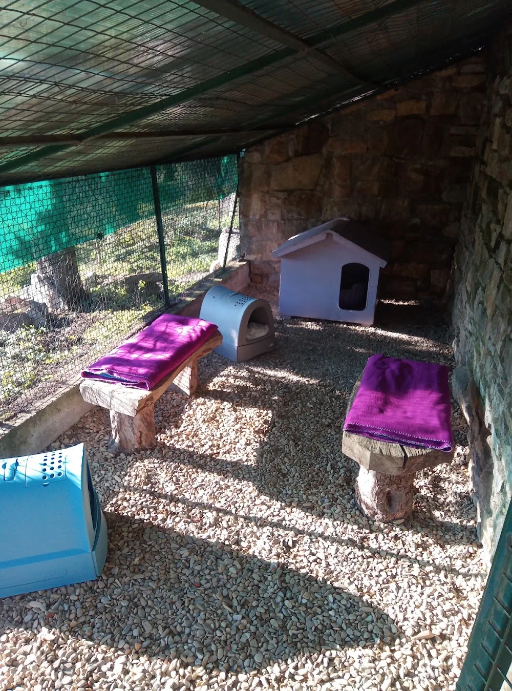 I Musicanti di Brema di Tiziana Baroncelli - Dog e Cat sitter presso la mia abitazione - Tuscany pet otel görseli 3