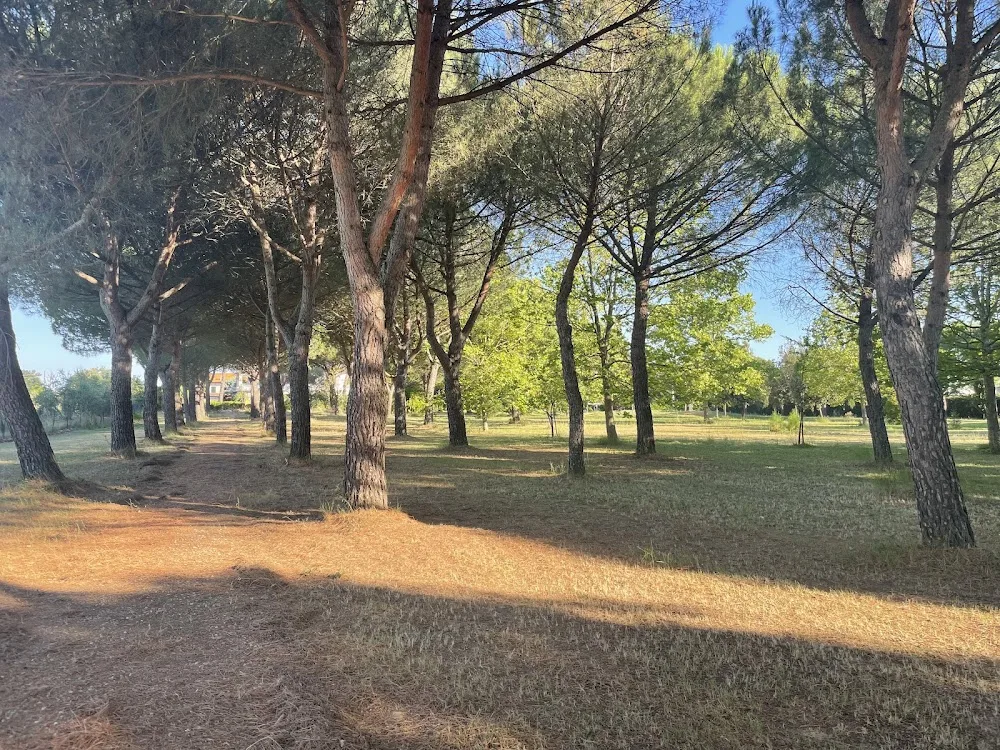 parco dei re - Tuscany pet otel