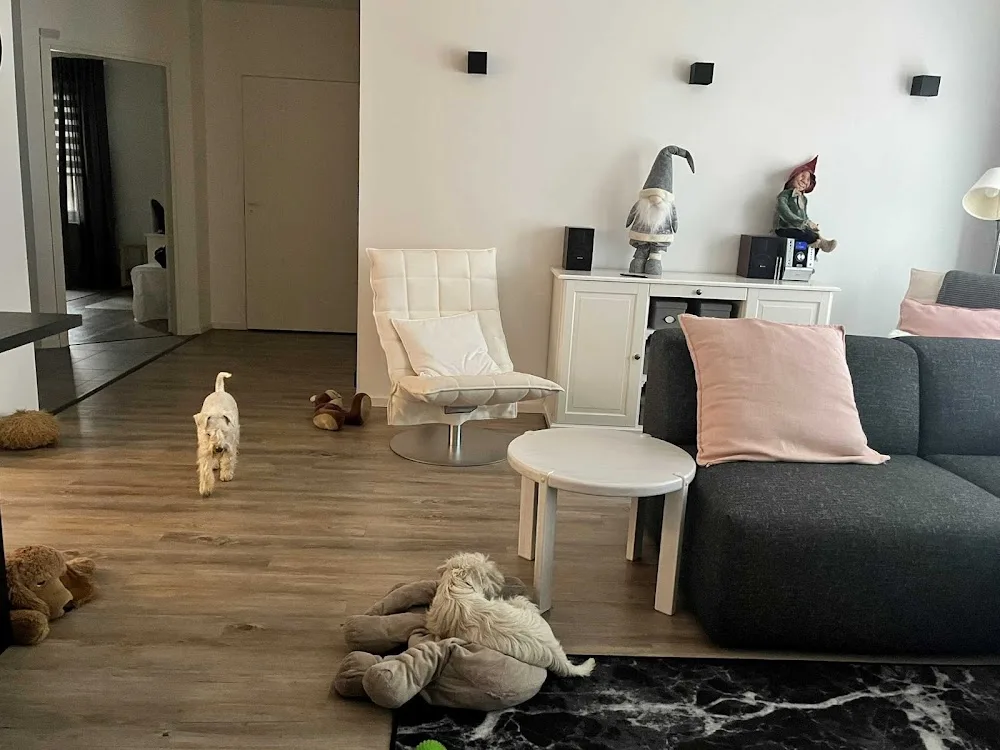 Koirahoitola Haukkuhotelli - Tuusula pet otel görseli 3