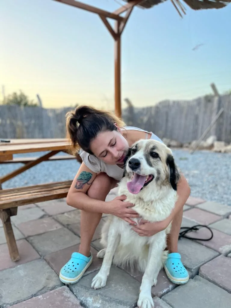 Tüylü Dostlar Pet Otel - Didim pet otel görseli 3